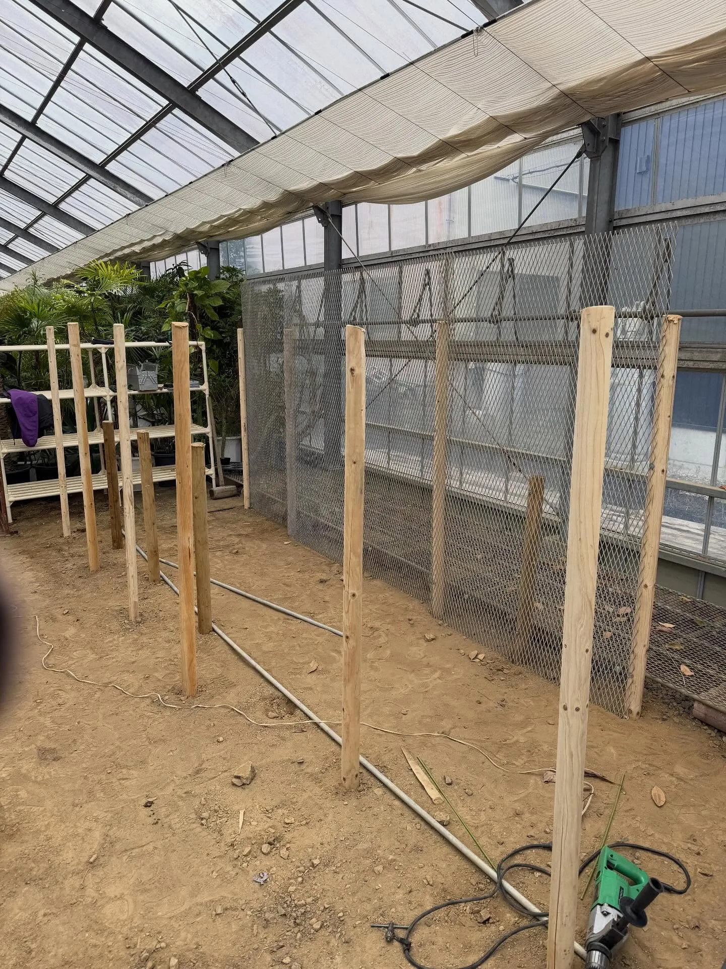 壁掛け植物用の壁製作！