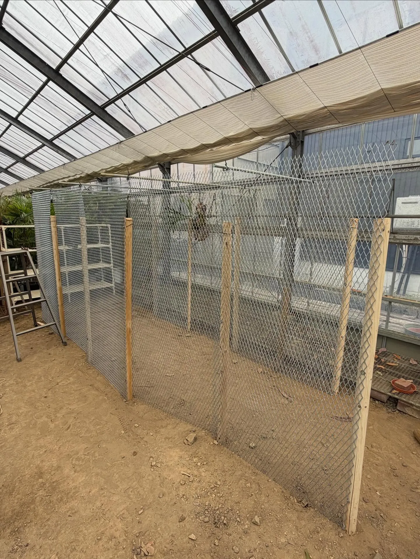 壁掛け植物用の壁製作！