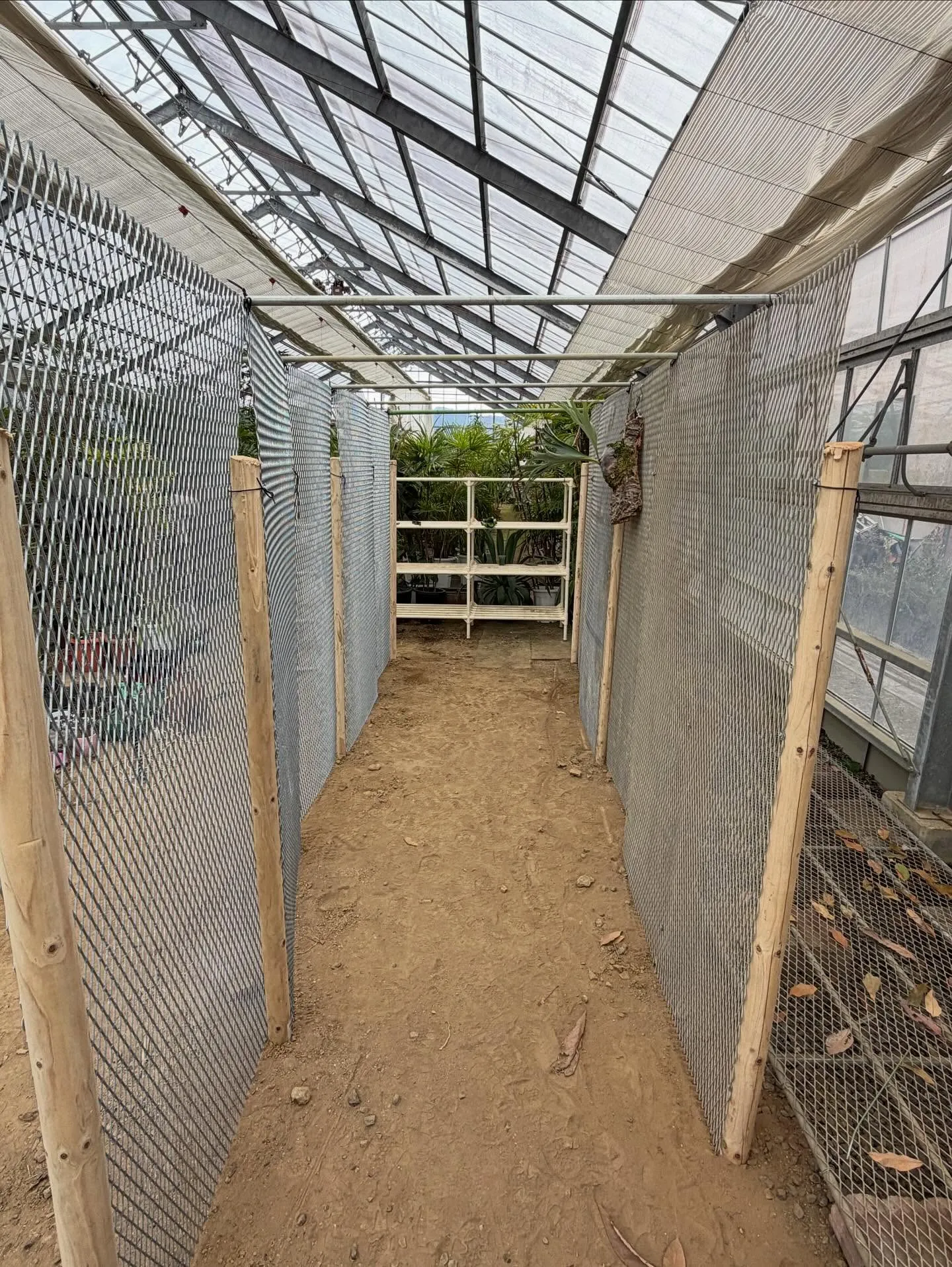 壁掛け植物用の壁製作！