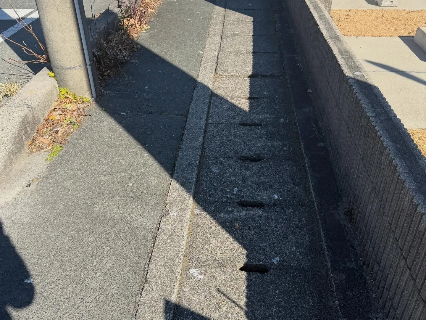 ベランダや駐車場に…鳥のフン、困っていませんか？😓