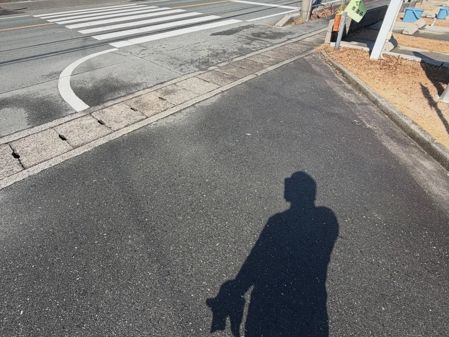 ベランダや駐車場に…鳥のフン、困っていませんか？😓