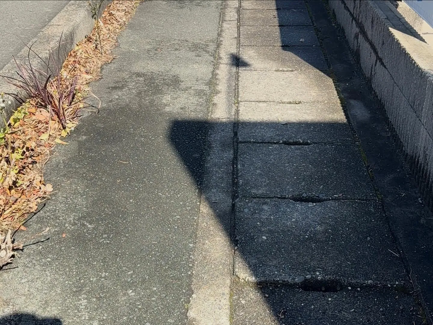 ベランダや駐車場に…鳥のフン、困っていませんか？😓